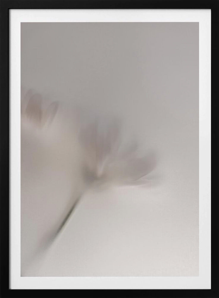Verschwommene Blumen 1 018a5454 | Poster