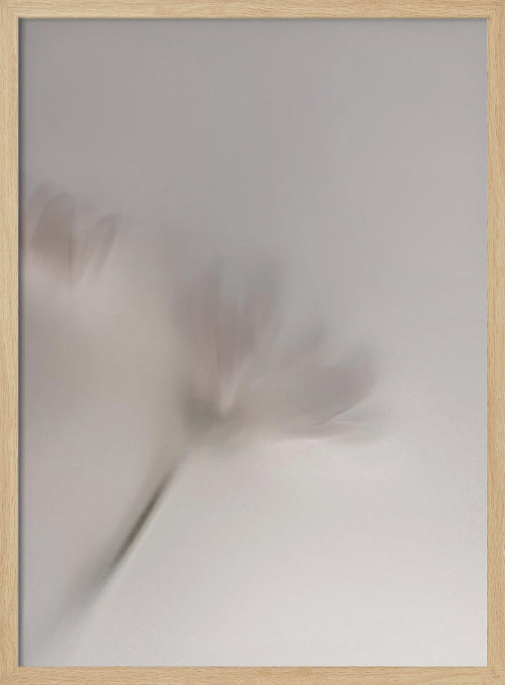 Verschwommene Blumen 1 018a5454 | Poster
