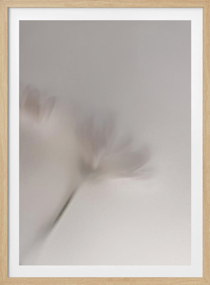 Verschwommene Blumen 1 018a5454 | Poster
