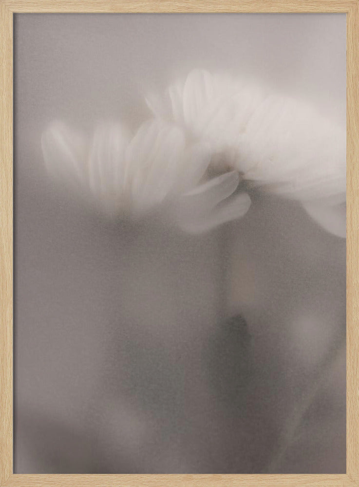 Blurred Flowers 3 | Poster