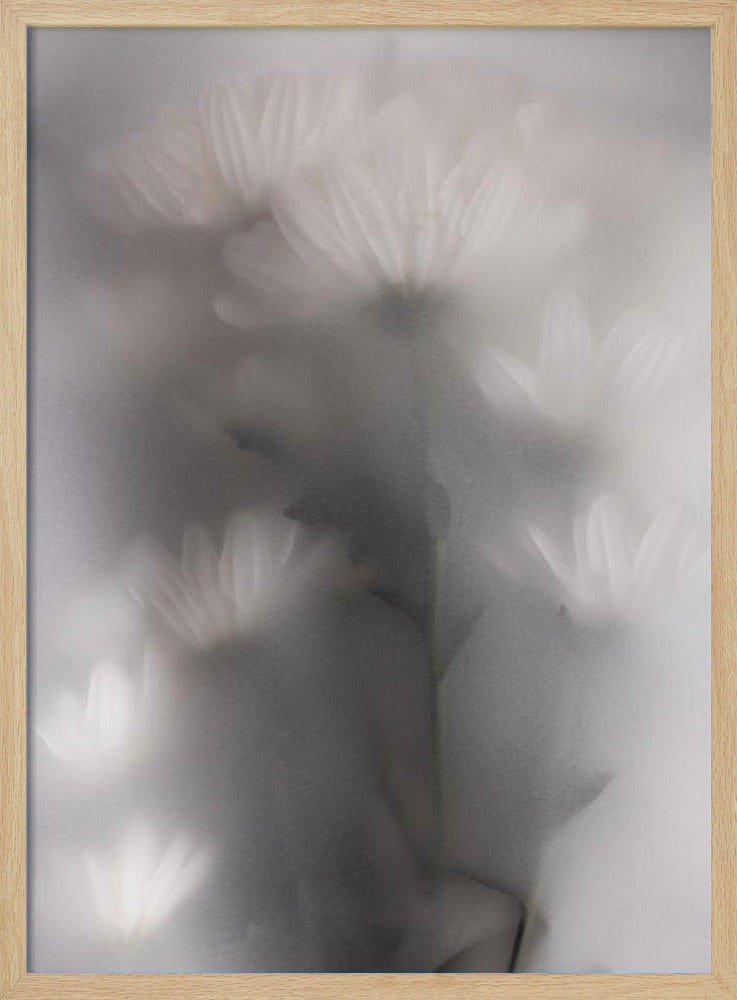Blurred Flowers 4 | Poster