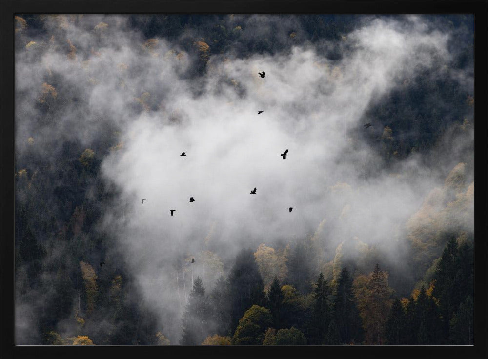 Nebliger Wald 8 | Poster
