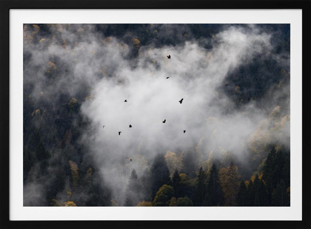 Nebliger Wald 8 | Poster