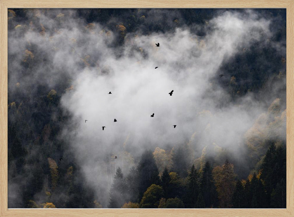 Nebliger Wald 8 | Poster