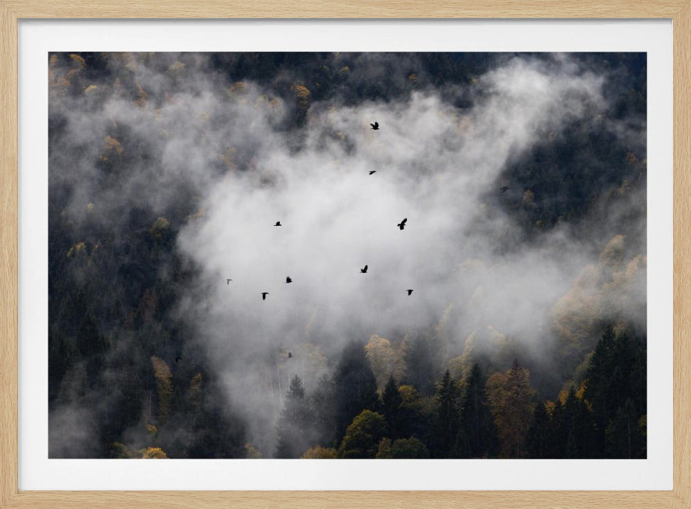 Nebliger Wald 8 | Poster