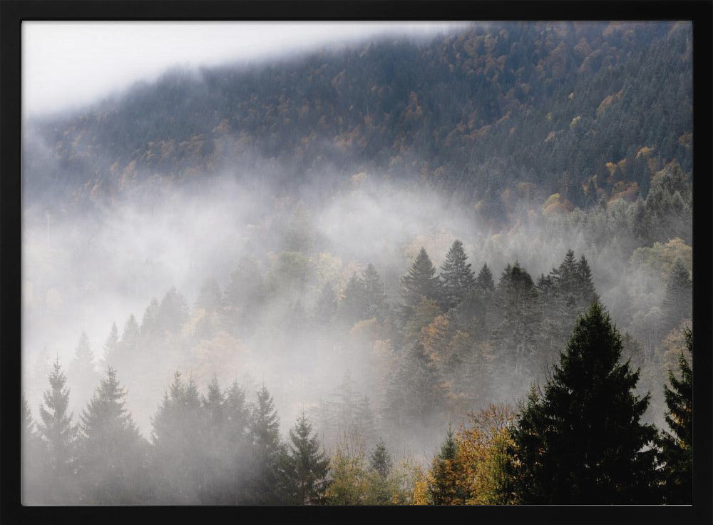 Nebliger Wald 9 | Poster