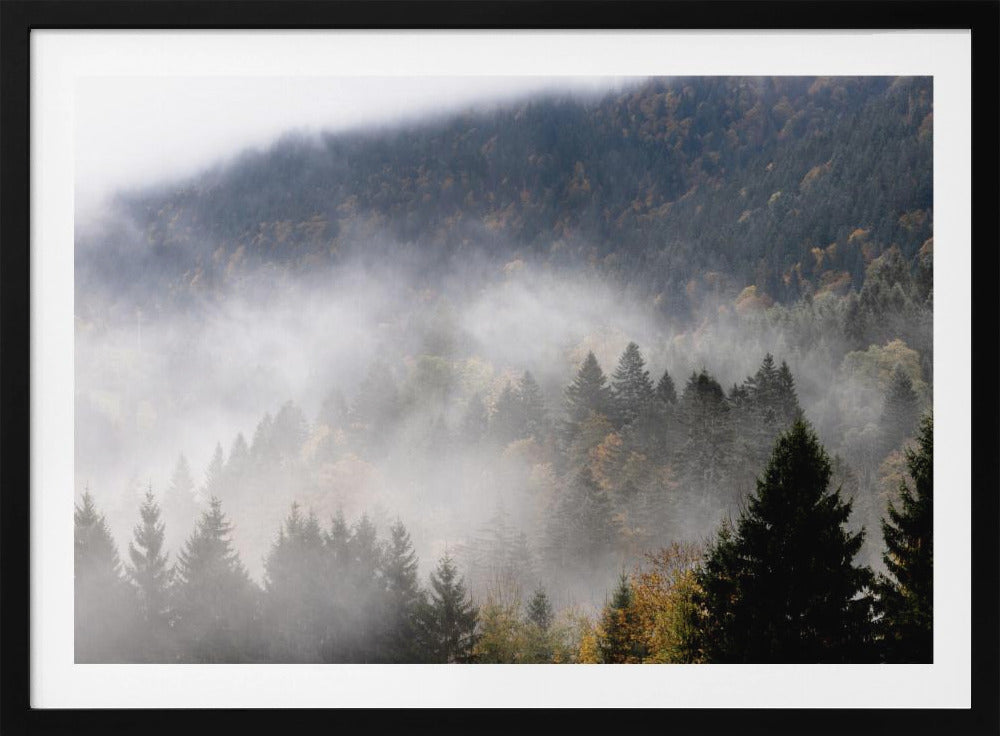 Nebliger Wald 9 | Poster