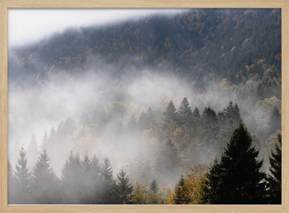 Nebliger Wald 9 | Poster