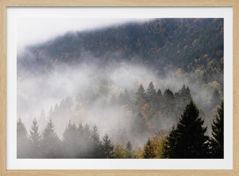 Nebliger Wald 9 | Poster