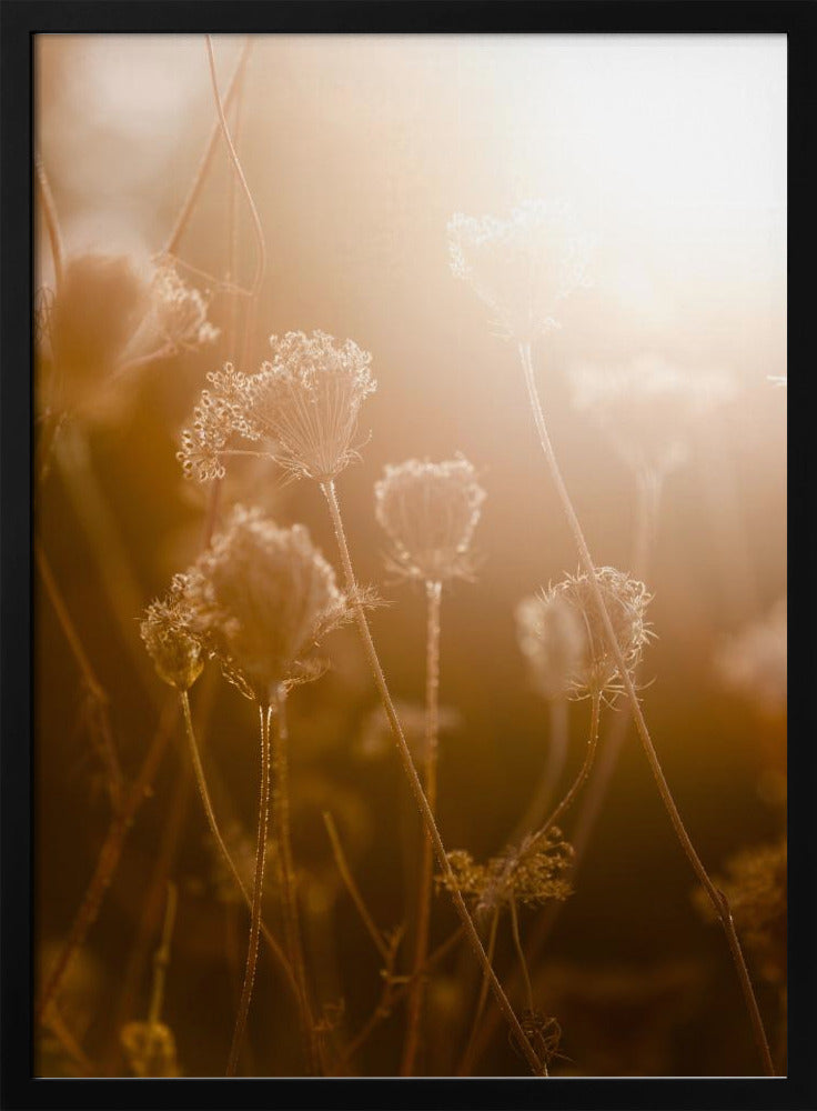 Goldene Stunde 1 | Poster