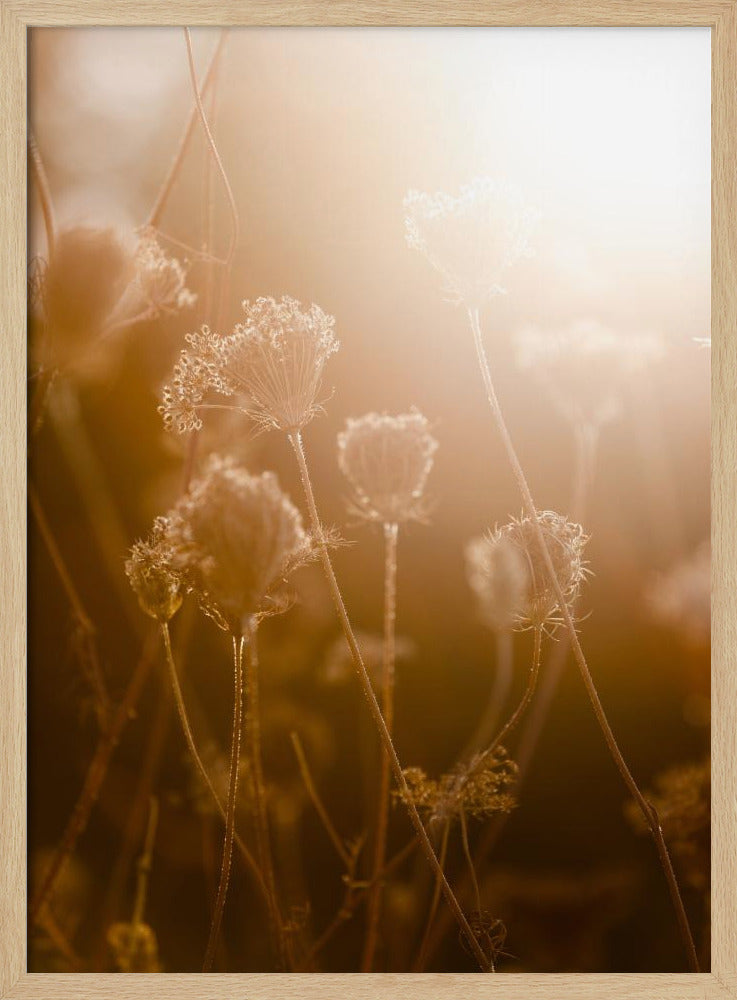 Goldene Stunde 1 | Poster