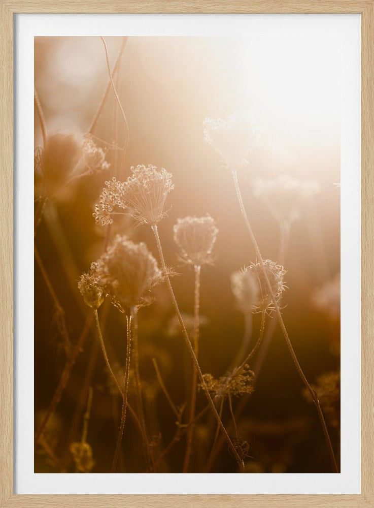 Goldene Stunde 1 | Poster