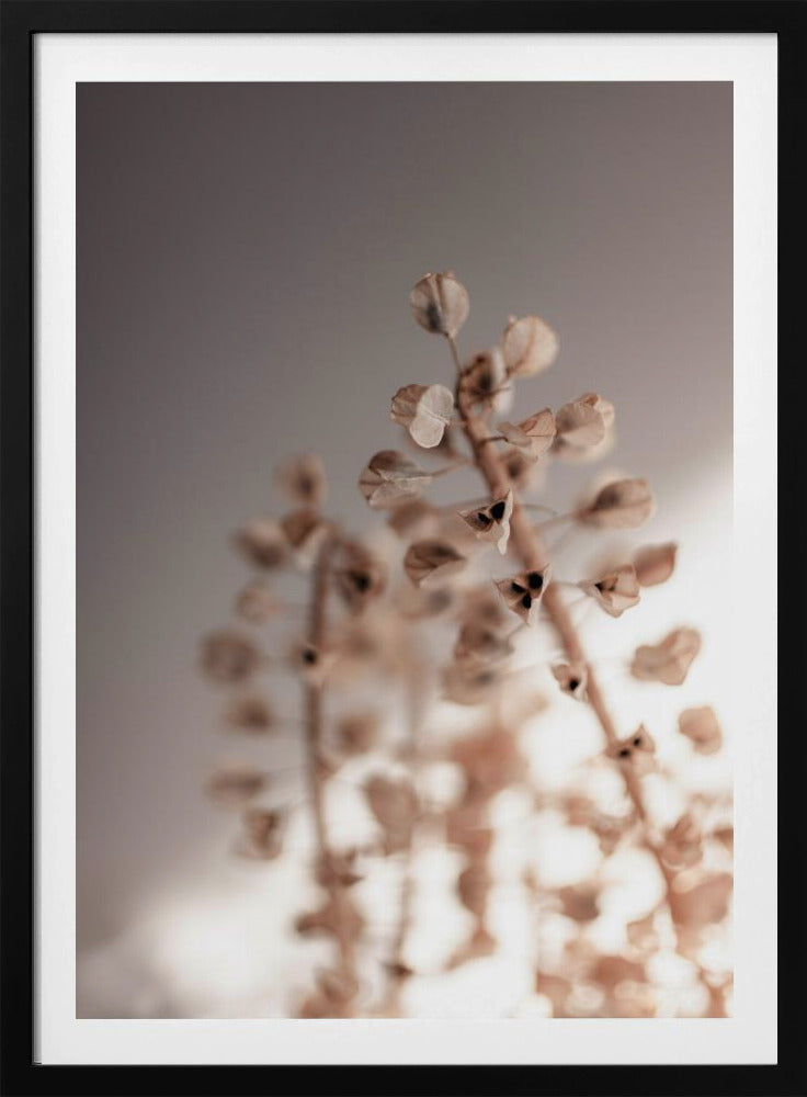 Letzter Sommer 32 | Poster