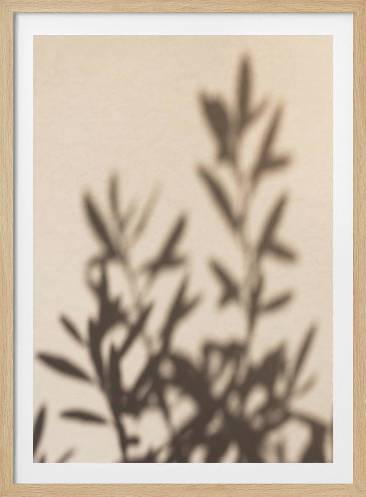 Sommerschatten 6 | Poster