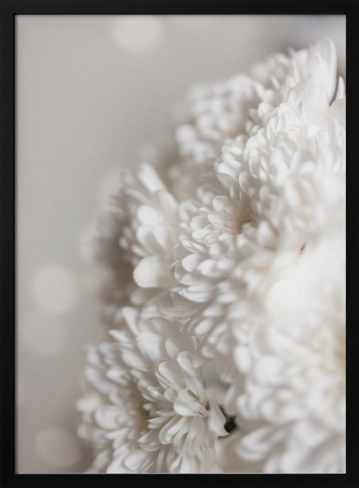 Weiße Blumen | Poster