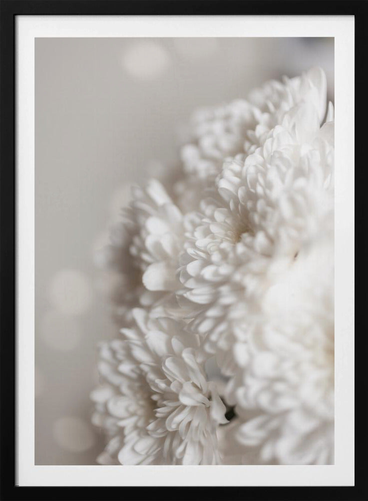 Weiße Blumen | Poster