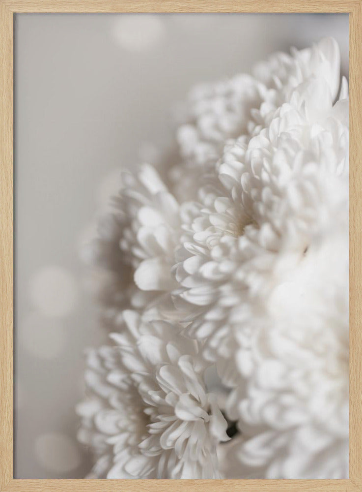 Weiße Blumen | Poster