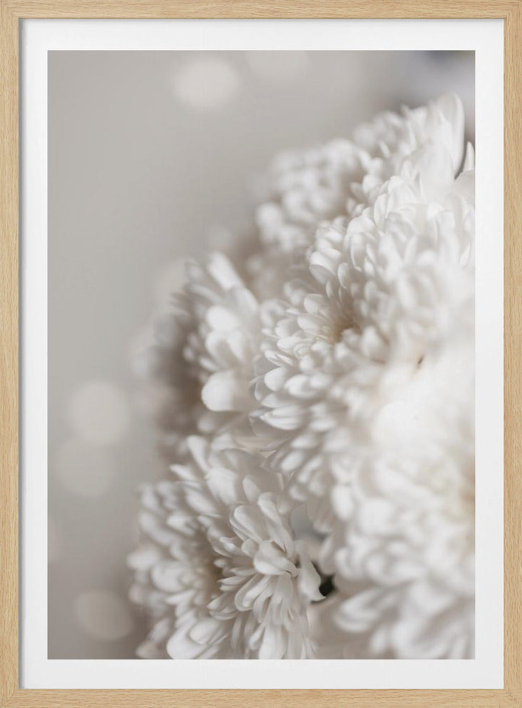 Weiße Blumen | Poster