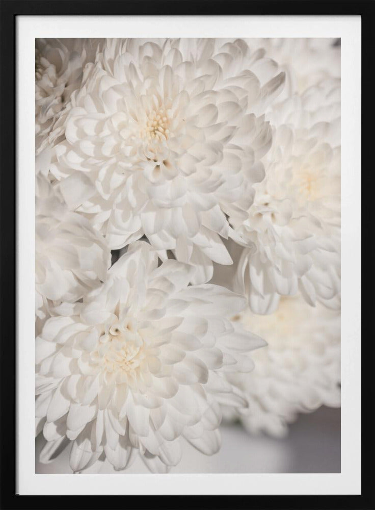 Weiße Blumen 2 | Poster