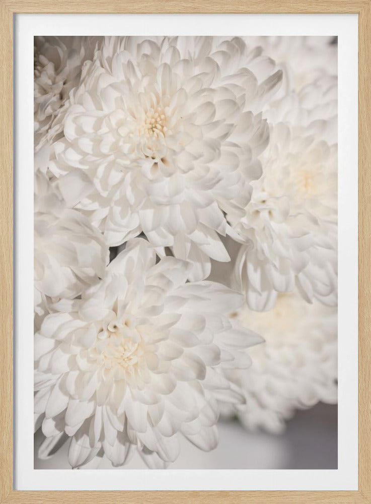 Weiße Blumen 2 | Poster