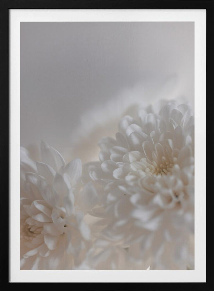 Weiße Blumen 3 | Poster