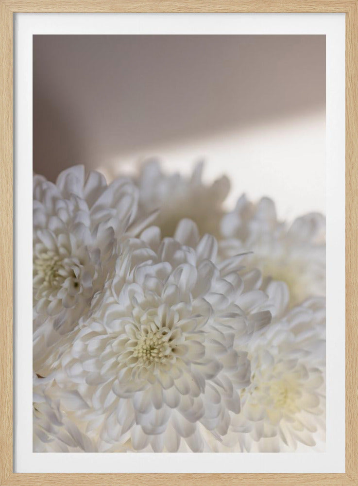 Weiße Blumen 6 | Poster
