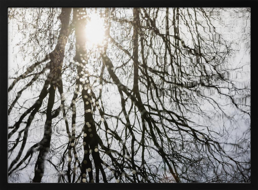 Winterreflexionen 3 | Poster