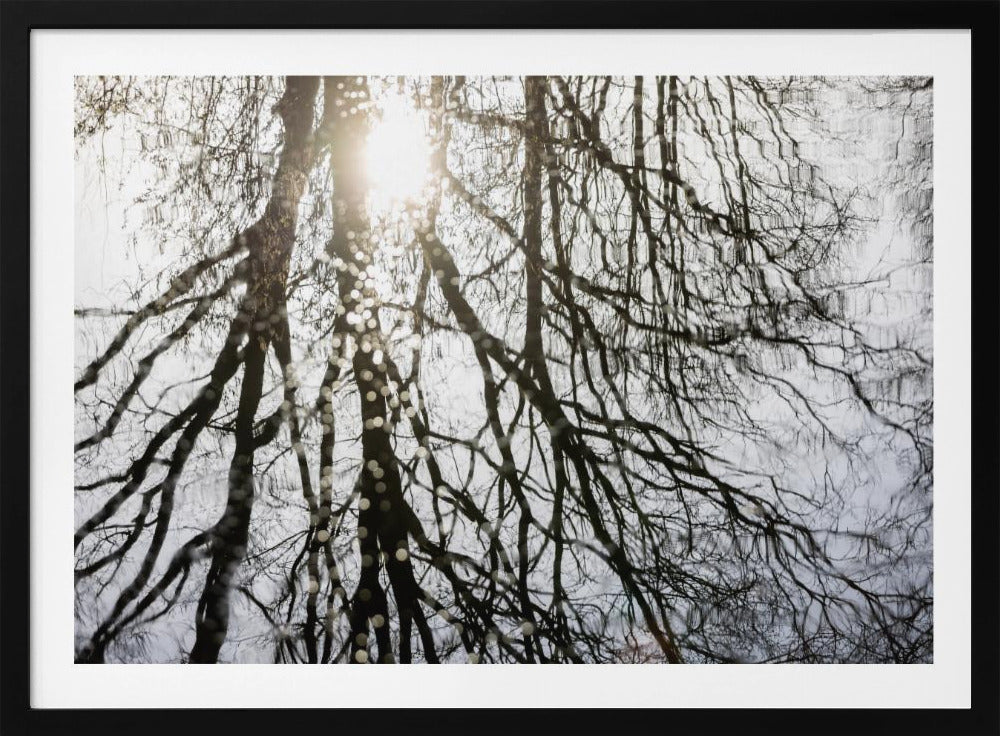 Winterreflexionen 3 | Poster