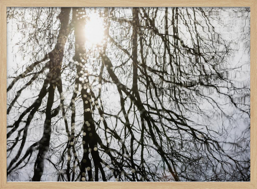 Winterreflexionen 3 | Poster