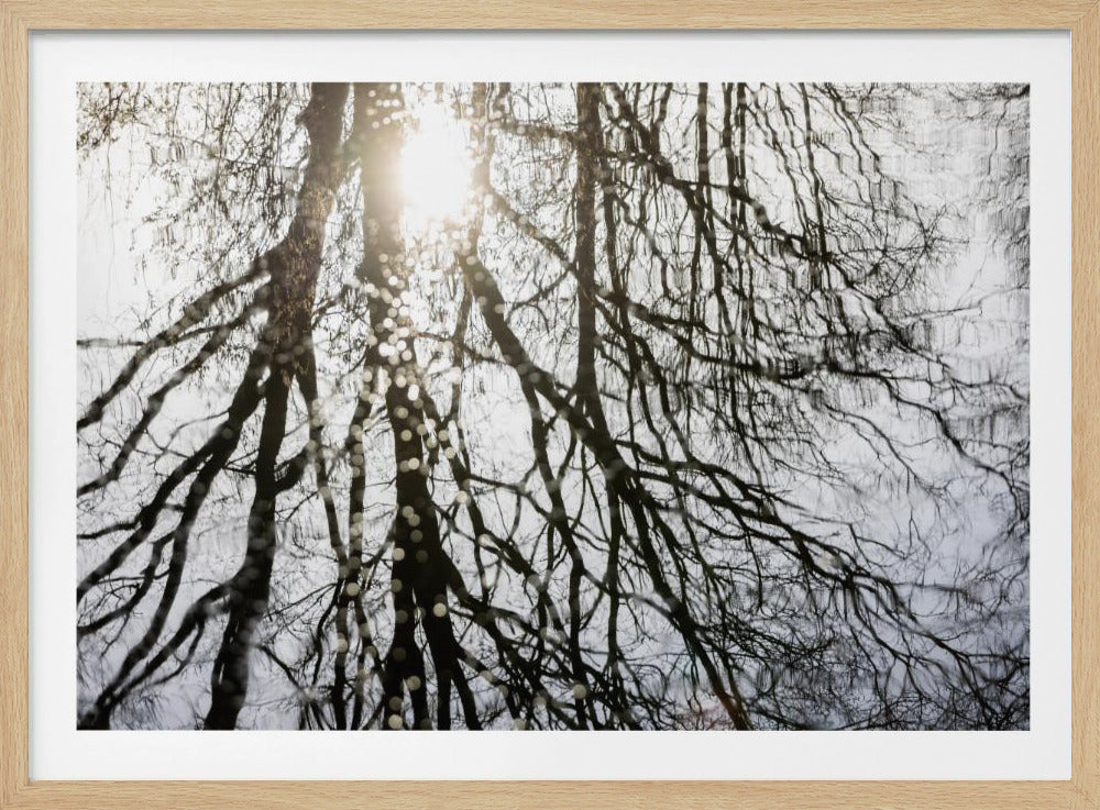Winterreflexionen 3 | Poster