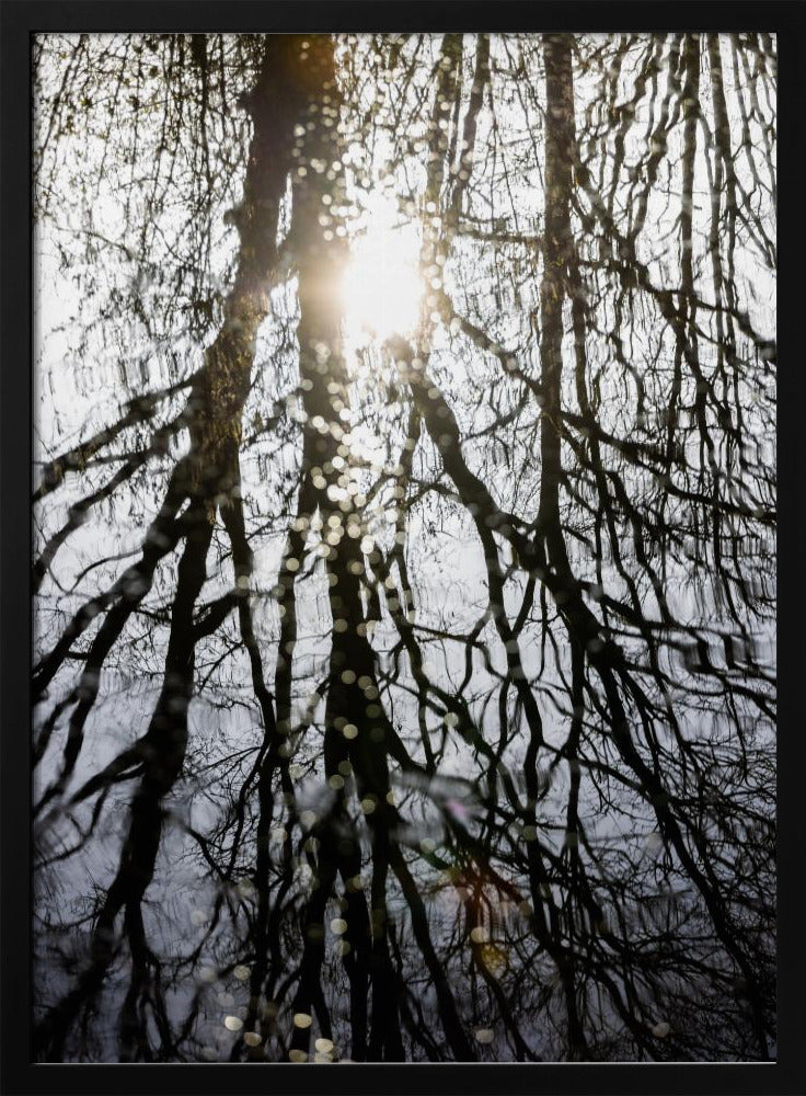 Winterreflexionen 4 | Poster