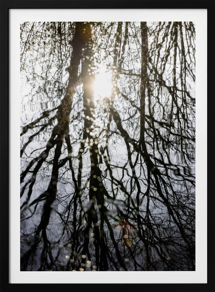 Winterreflexionen 4 | Poster