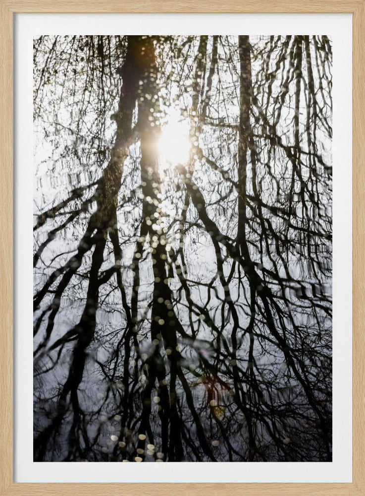 Winterreflexionen 4 | Poster