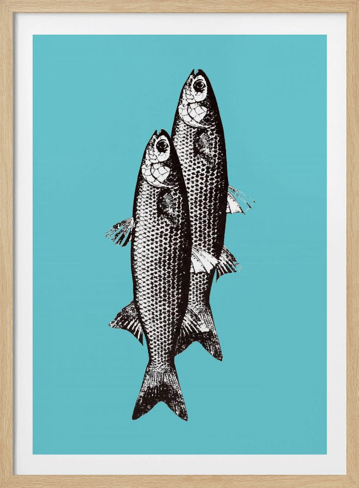 Sardinen | Poster