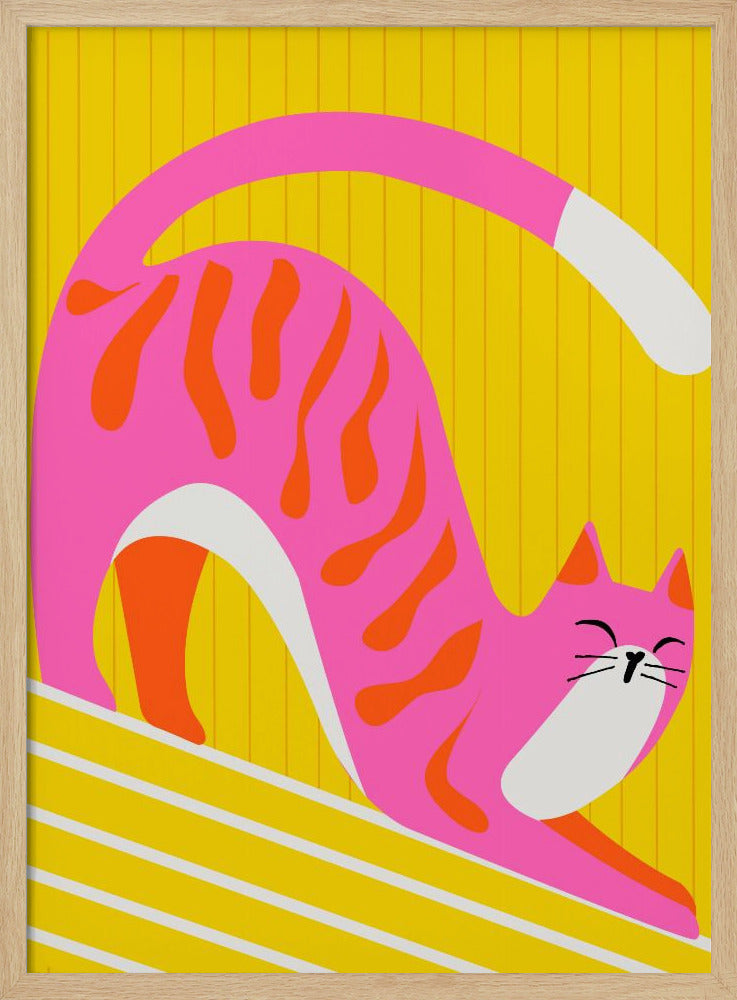 Dösende Schnurrhaare, leuchtende, entzückende Katze | Poster