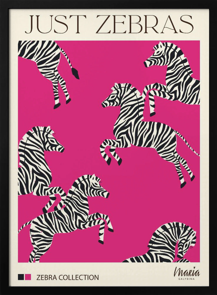 NUR ZEBRAS. Zebra-Kollektion | Poster