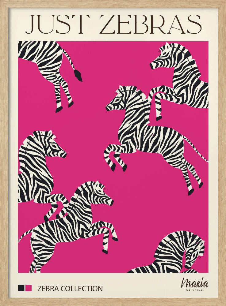 NUR ZEBRAS. Zebra-Kollektion | Poster