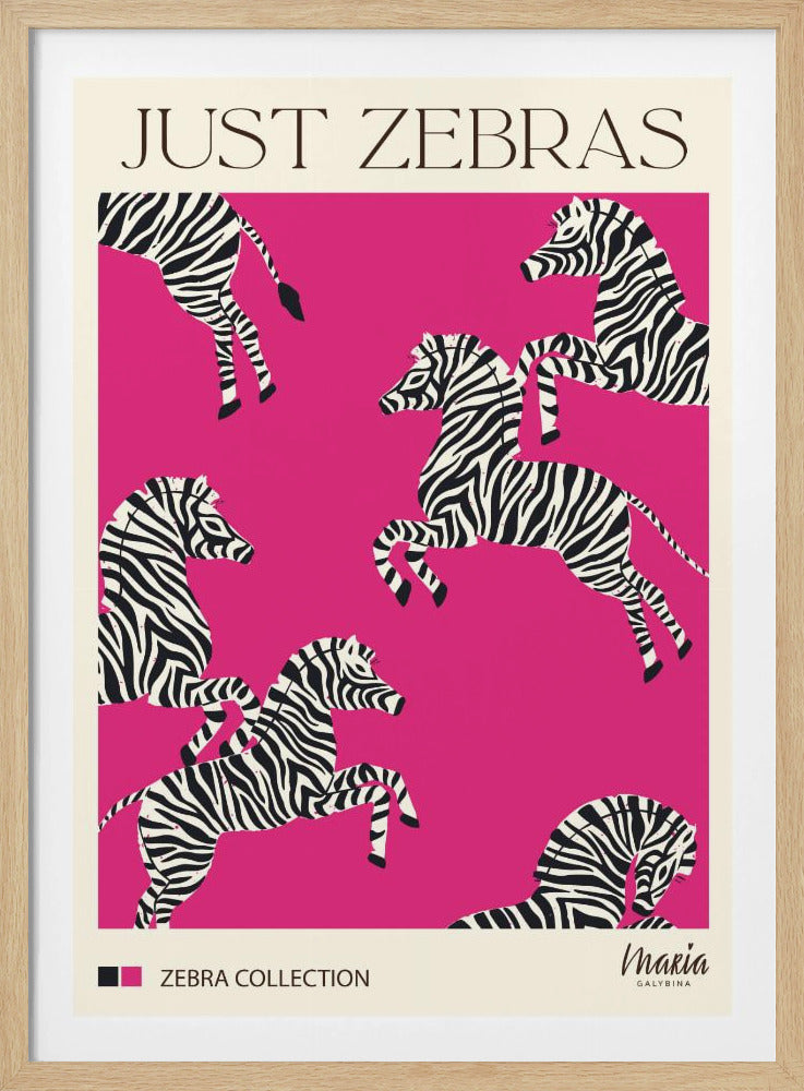 NUR ZEBRAS. Zebra-Kollektion | Poster