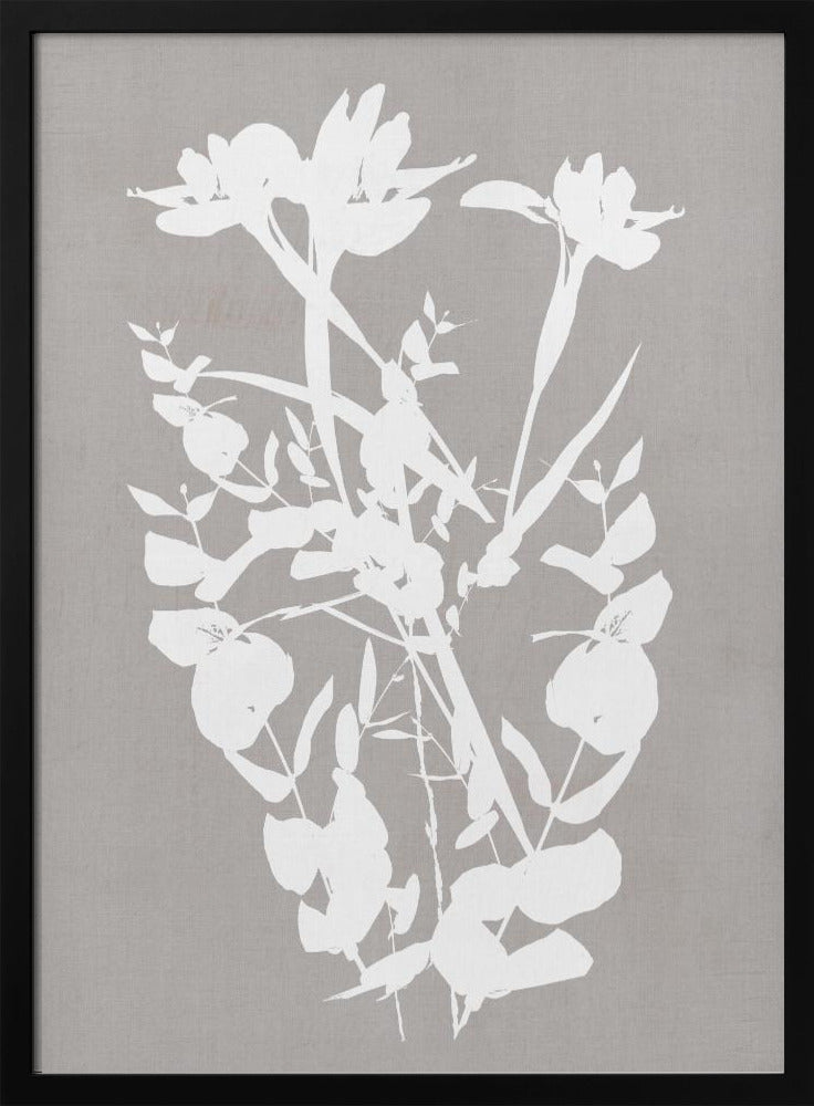 Botanische Illustration 1 | Poster