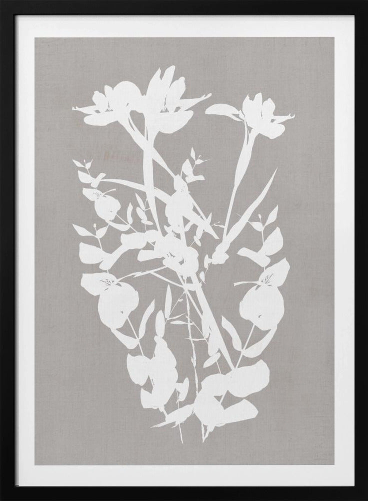 Botanische Illustration 1 | Poster