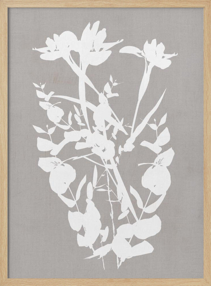 Botanische Illustration 1 | Poster