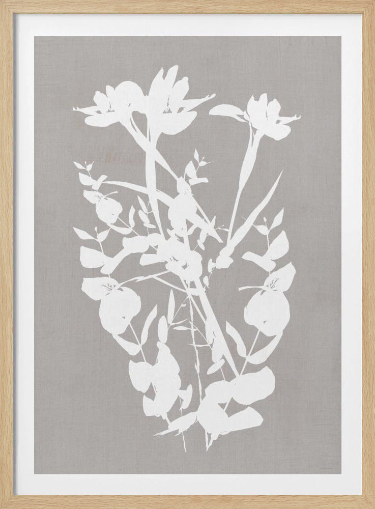 Botanische Illustration 1 | Poster