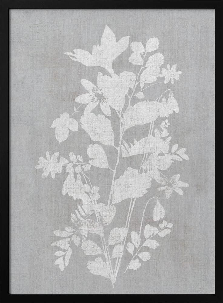 Botanische Illustration 2 | Poster