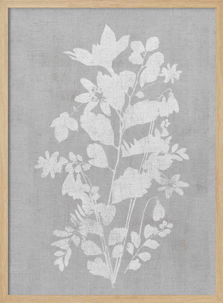 Botanische Illustration 2 | Poster