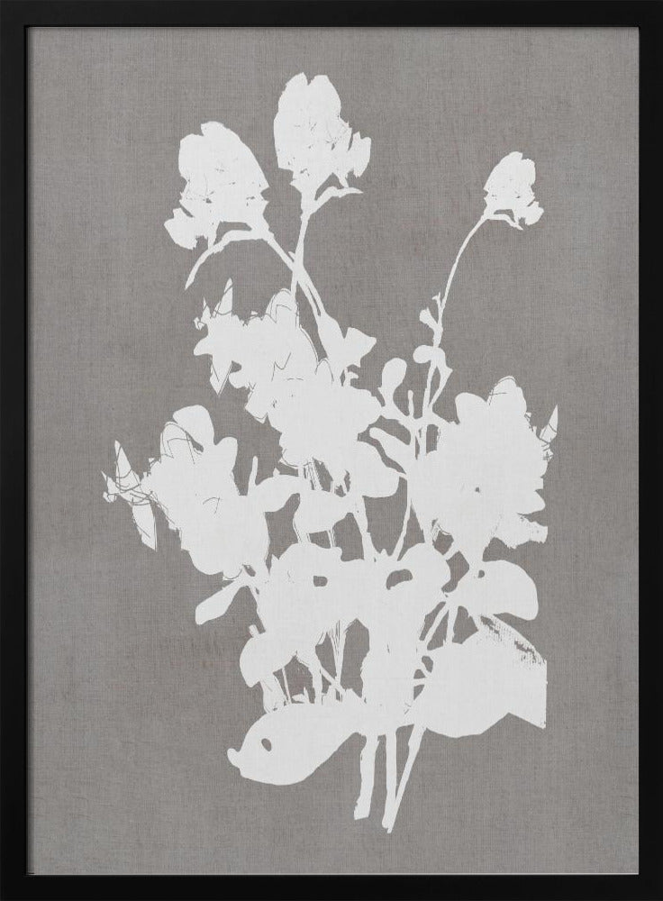 Botanische Illustration 3 | Poster