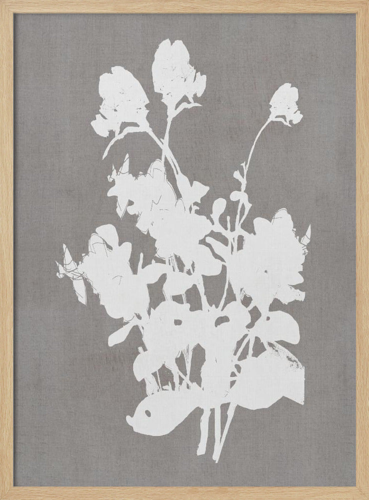 Botanische Illustration 3 | Poster