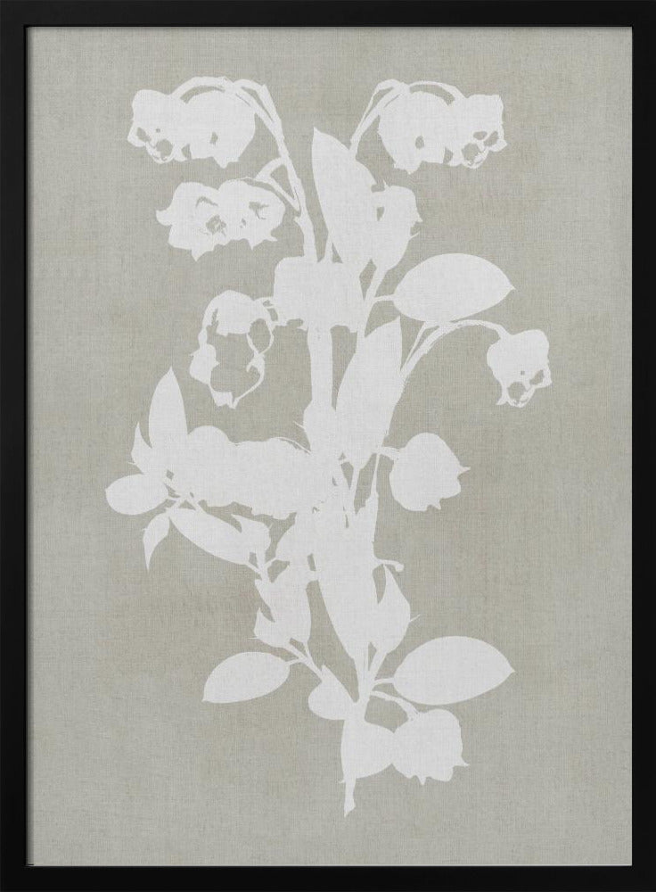 Botanische Illustration 4 | Poster