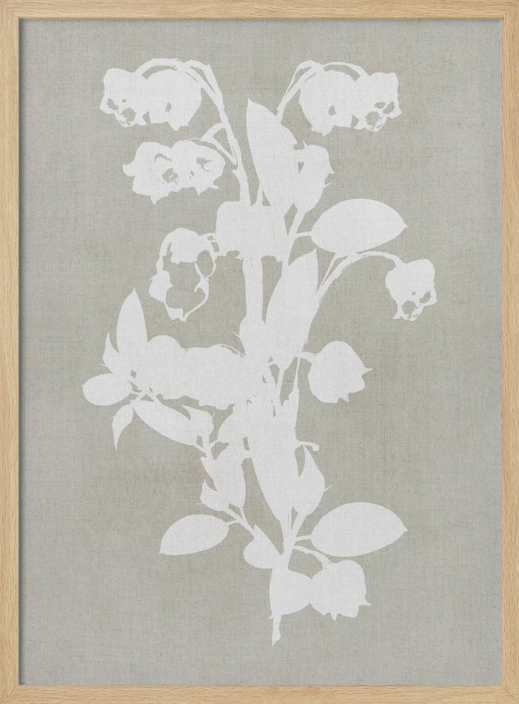 Botanische Illustration 4 | Poster