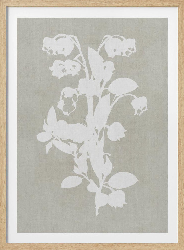Botanische Illustration 4 | Poster