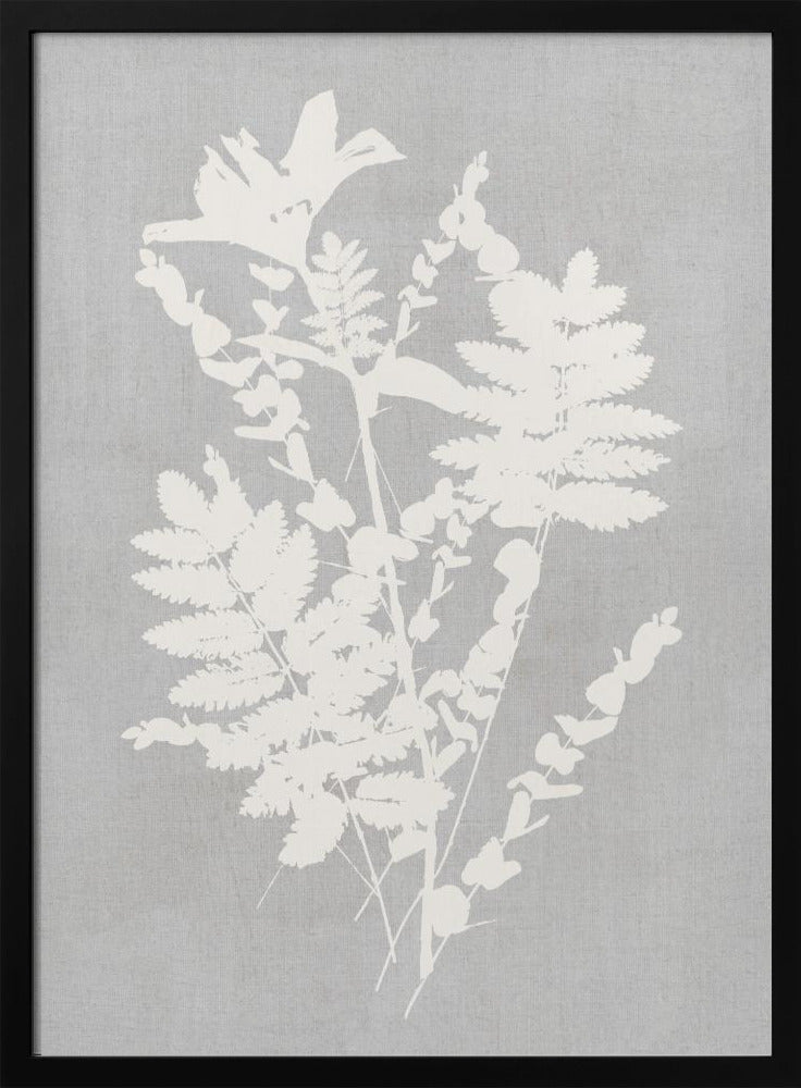 Botanische Illustration 5 | Poster